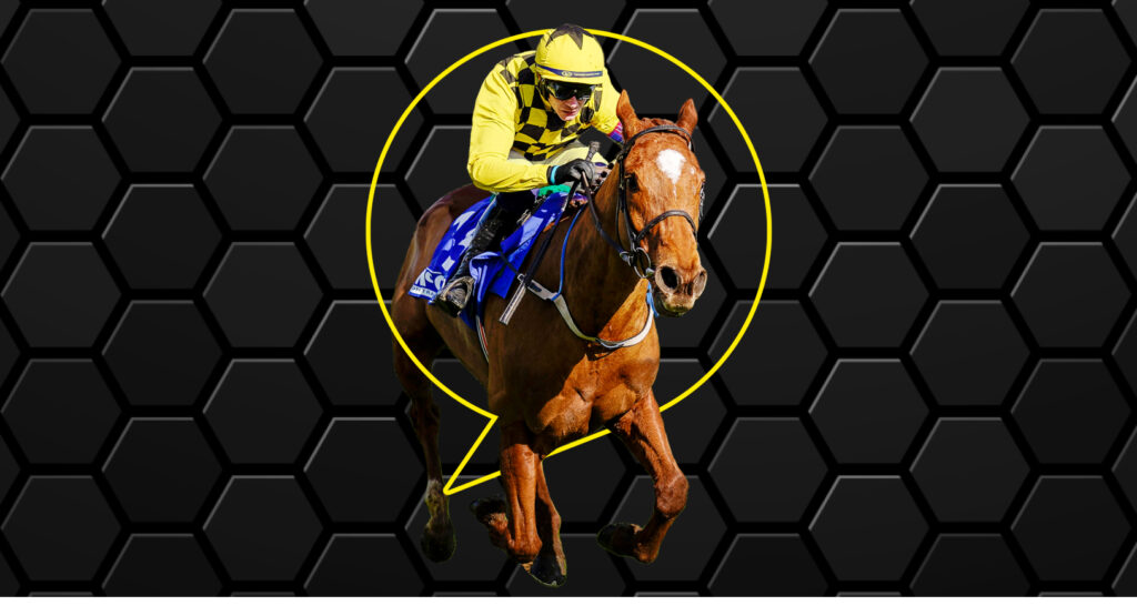 What Does SP Mean In Horse Racing Starting Price Explained what-does-sp-mean-in-horse-racing-starting-price-explained