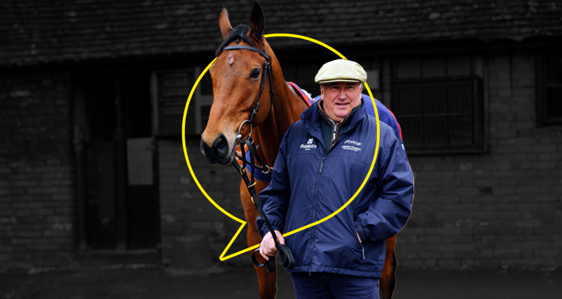 Paul Nicholls’ Net Worth Revealed 